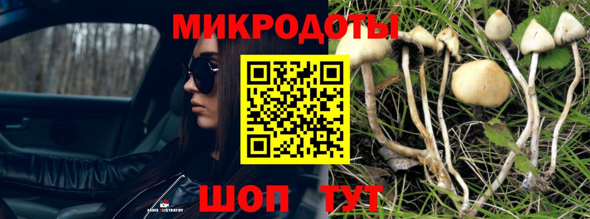 Псилоцибиновые грибы Cubensis  Вход с VPN  Псилоцибиновые грибы MAGIC MUSHROOMS  Шахты 
