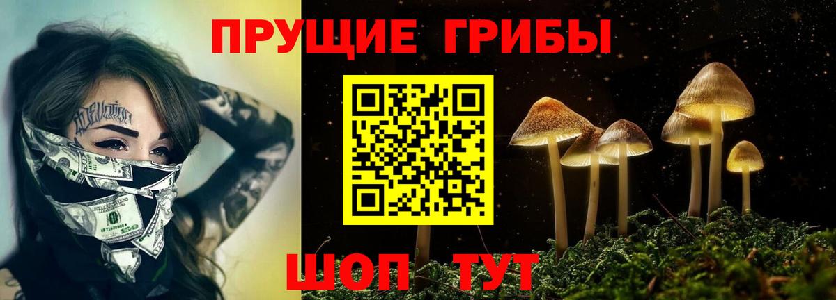 Галлюциногенные грибы прущие грибы Шахты